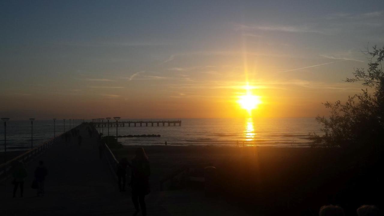 Namai Pas Gintara Otel Palanga Dış mekan fotoğraf
