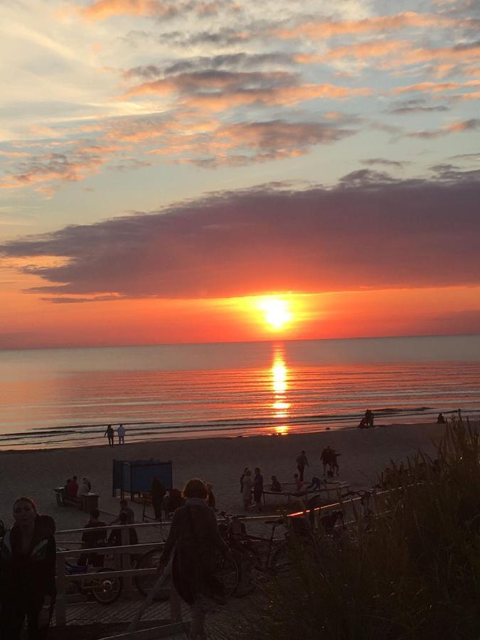 Namai Pas Gintara Otel Palanga Dış mekan fotoğraf