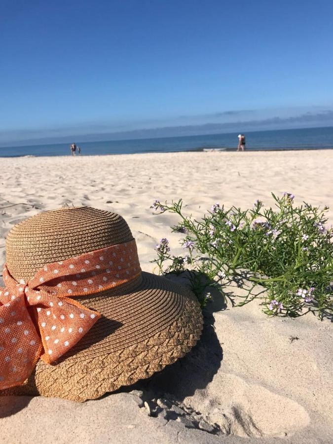 Namai Pas Gintara Otel Palanga Dış mekan fotoğraf