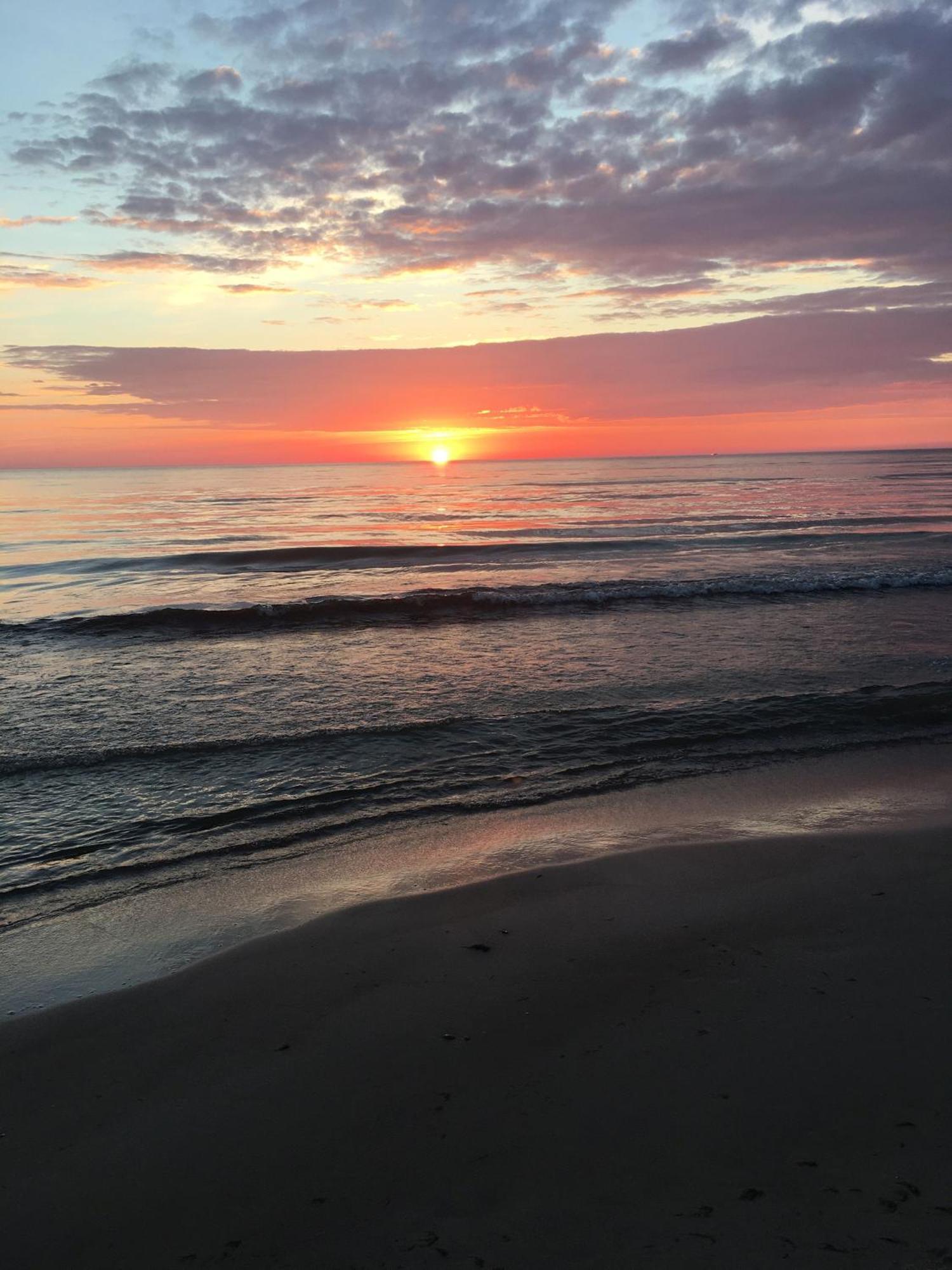Namai Pas Gintara Otel Palanga Dış mekan fotoğraf